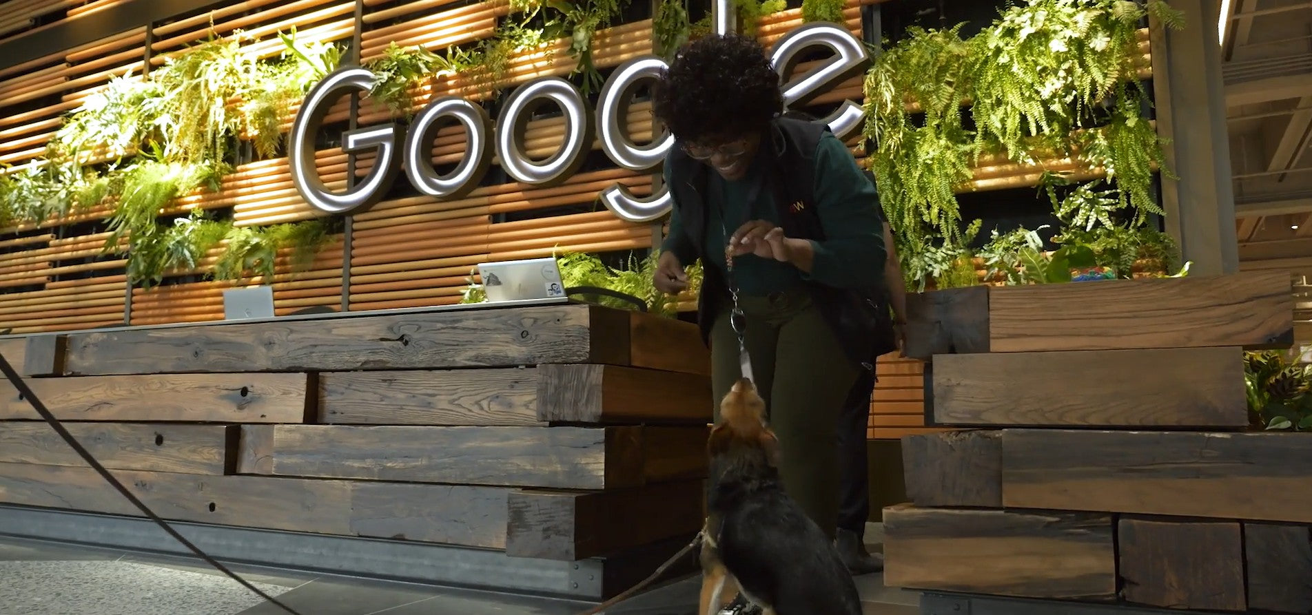 Load video: JLL® Google Workstudy